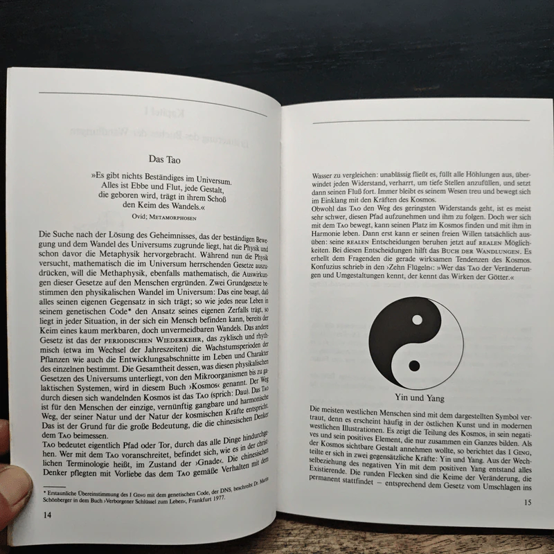 Das Arbeitsbuch zum I Ging - R.L. Wing รูปที่ 10