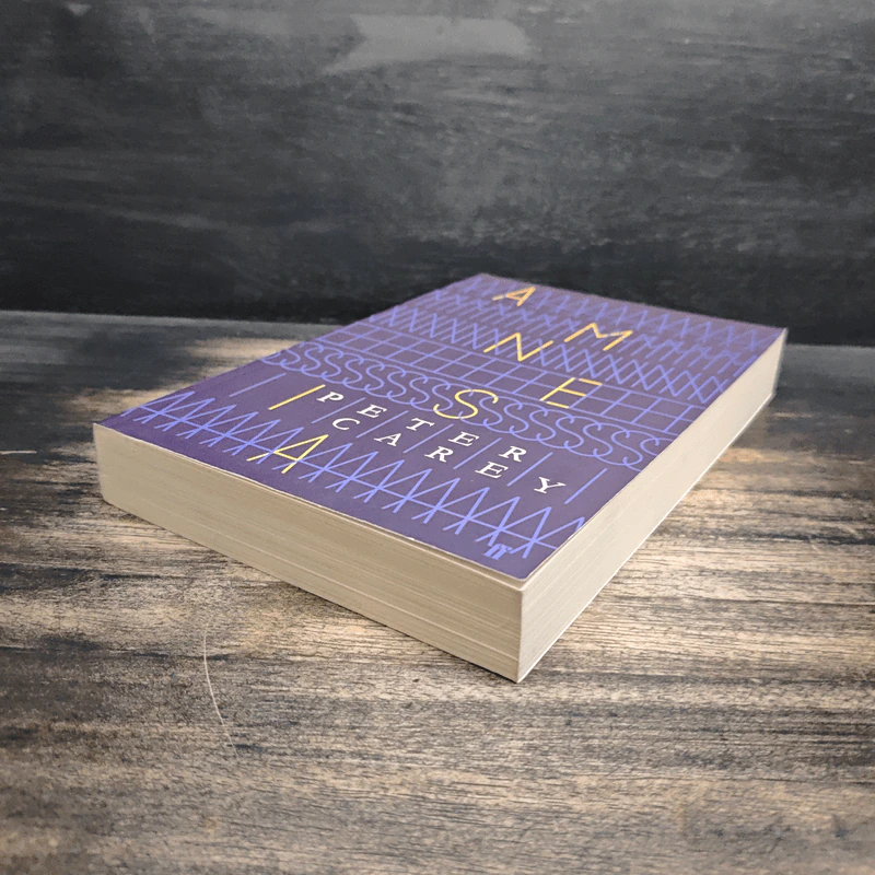 Amnesia - Peter Carey รูปที่ 4