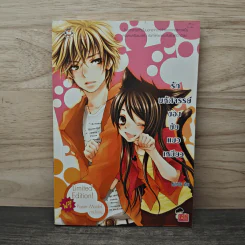 รักมหัศจรรย์ของยัยแมวเหมียว - หนูการ์ตูน