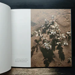 IRAN: a visual journey - James Waite รูปที่ 8