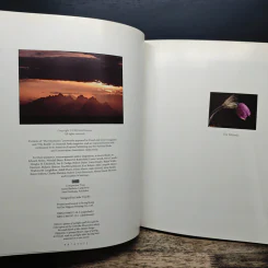In Denali - Kim Heacox รูปที่ 8