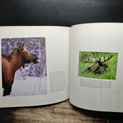 In Denali - Kim Heacox รูปที่ 11