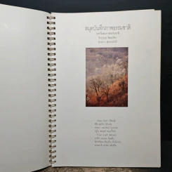 สมุดบันทึกภาพธรรมชาติ - จิระนันท์ พิตรปรีชา, ดวงดาว สุวรรณรังษี รูปที่ 6