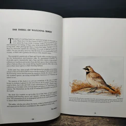 Nature Guide to Inari Lapland and its Bird Sites - Vesa Luhta รูปที่ 10