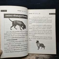 โลกสุนัข Dog's World Series 3 รวมแคทตาล็อคสุนัขหลากพันธุ์ในโลกมากที่สุด รูปที่ 8