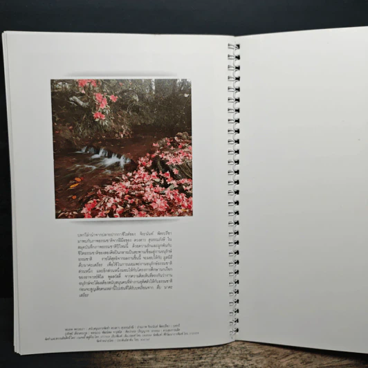 สมุดบันทึกภาพธรรมชาติ - จิระนันท์ พิตรปรีชา, ดวงดาว สุวรรณรังษี รูปที่ 11