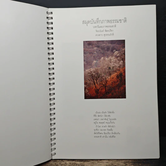 สมุดบันทึกภาพธรรมชาติ - จิระนันท์ พิตรปรีชา, ดวงดาว สุวรรณรังษี รูปที่ 6