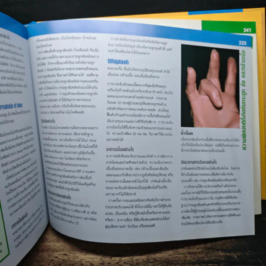 ข้อดี กระดูกแกร่ง กล้ามเนื้อแข็งแรง - Reader's Digest รีดเดอร์สไดเจสท์ รูปที่ 11