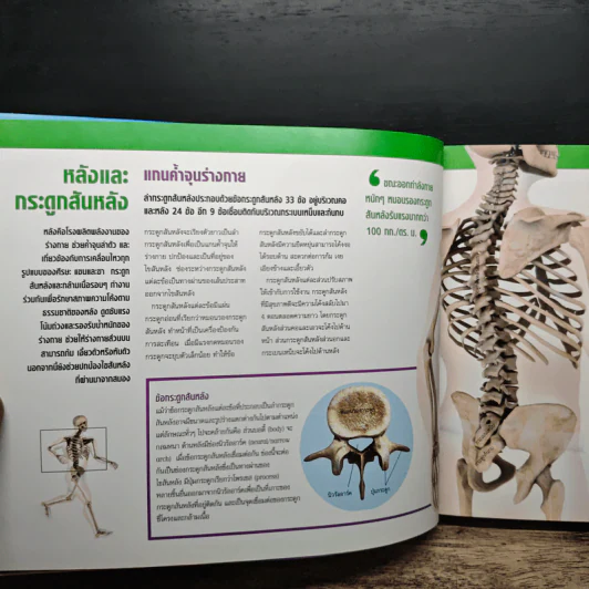 ข้อดี กระดูกแกร่ง กล้ามเนื้อแข็งแรง - Reader's Digest รีดเดอร์สไดเจสท์ รูปที่ 10