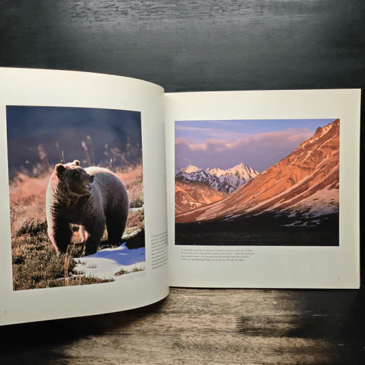 In Denali - Kim Heacox รูปที่ 6