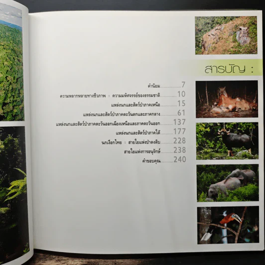 นกและสัตว์ป่าแห่งประเทศไทย สายใยธรรมชาติ - เกษม สนิทวงศ์ ณ อยุธยา รูปที่ 8