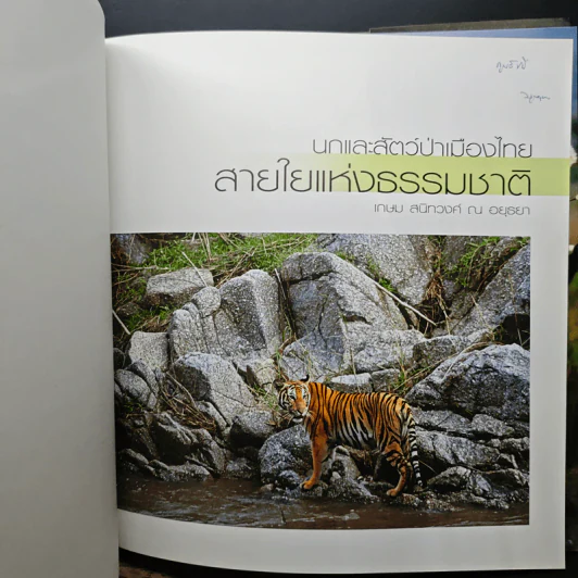 นกและสัตว์ป่าแห่งประเทศไทย สายใยธรรมชาติ - เกษม สนิทวงศ์ ณ อยุธยา รูปที่ 6
