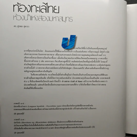 อันดามันและอ่าวไทย รูปที่ 7