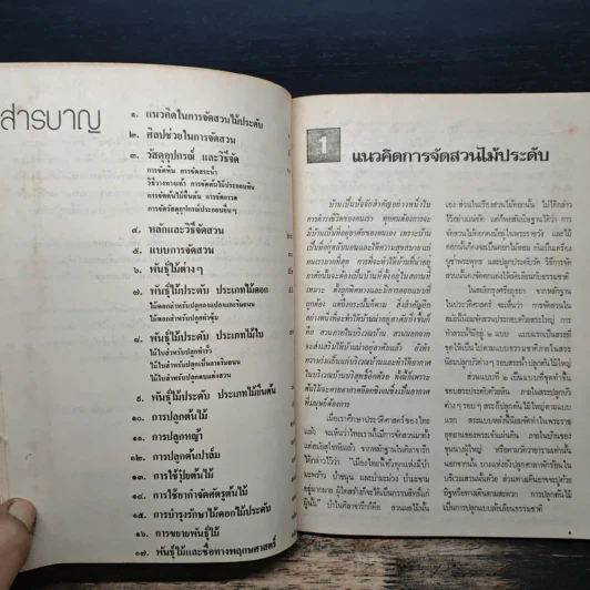แนวคิดการจัดสวนไม้ประดับ - ชวลิต ดาบแก้ว รูปที่ 7