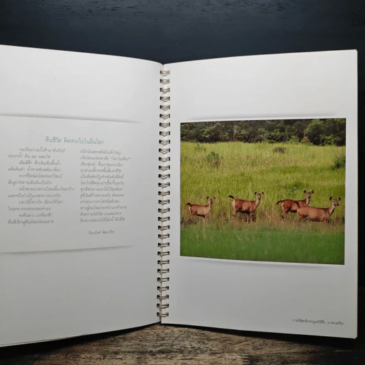 สมุดบันทึกภาพธรรมชาติ - จิระนันท์ พิตรปรีชา, ดวงดาว สุวรรณรังษี รูปที่ 7