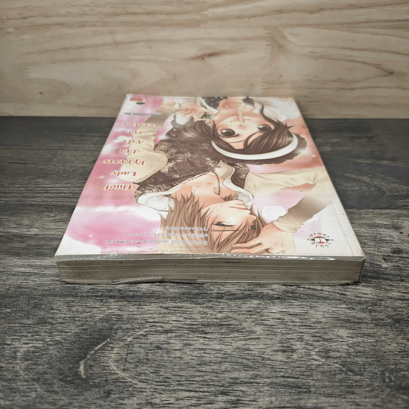 Thief Lady ปฏิบัติการปล้นหัวใจนายจอมโฉด - Hideko_Sunshine รูปที่ 4