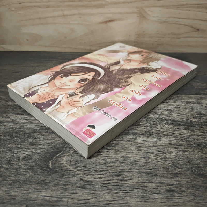 Thief Lady ปฏิบัติการปล้นหัวใจนายจอมโฉด - Hideko_Sunshine รูปที่ 3
