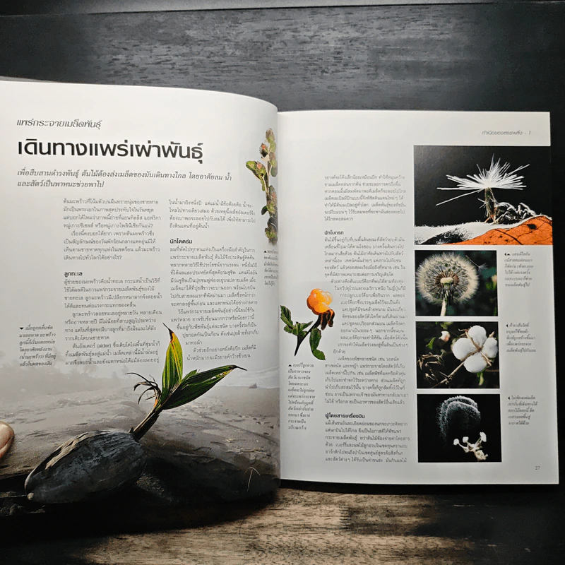 โลกลี้ลับธรรมชาติน่าทึ่ง - รีดเดอร์ส ไดเจสท์ รูปที่ 15