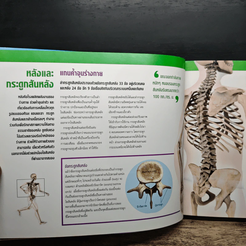 ข้อดี กระดูกแกร่ง กล้ามเนื้อแข็งแรง - Reader's Digest รีดเดอร์สไดเจสท์ รูปที่ 10