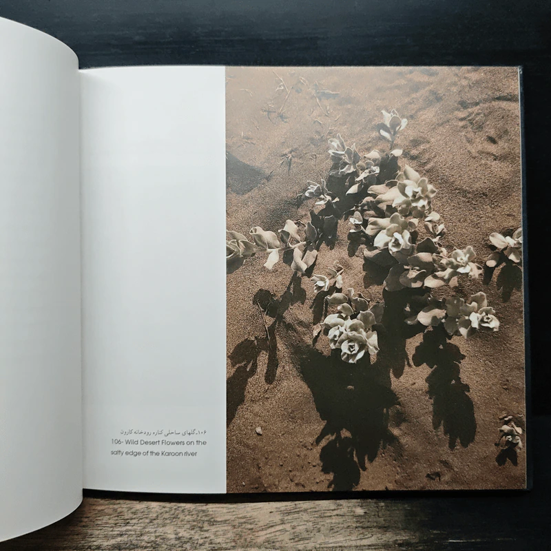 IRAN: a visual journey - James Waite รูปที่ 8