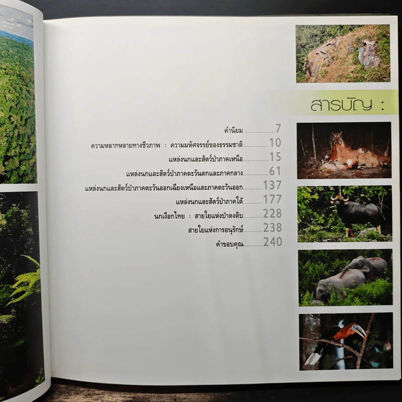 นกและสัตว์ป่าแห่งประเทศไทย สายใยธรรมชาติ - เกษม สนิทวงศ์ ณ อยุธยา รูปที่ 8