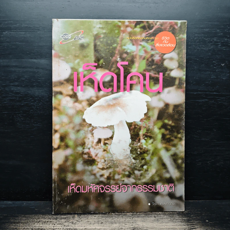 เห็ดโคน เห็ดมหัศจรรย์จากธรรมชาติ - วีระ เทพกรณ์ รูปที่ 1