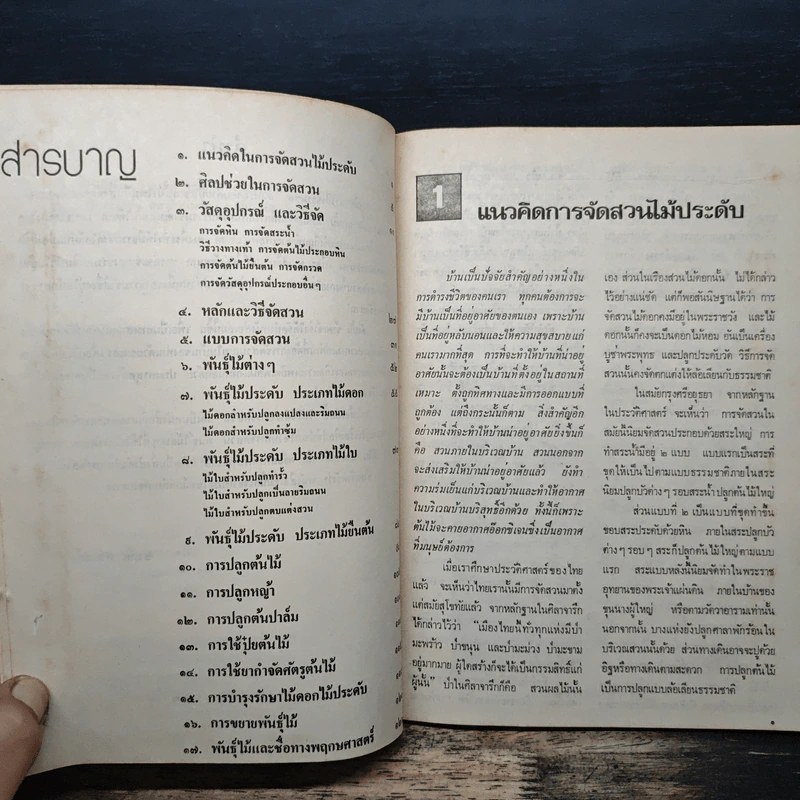 แนวคิดการจัดสวนไม้ประดับ - ชวลิต ดาบแก้ว รูปที่ 7
