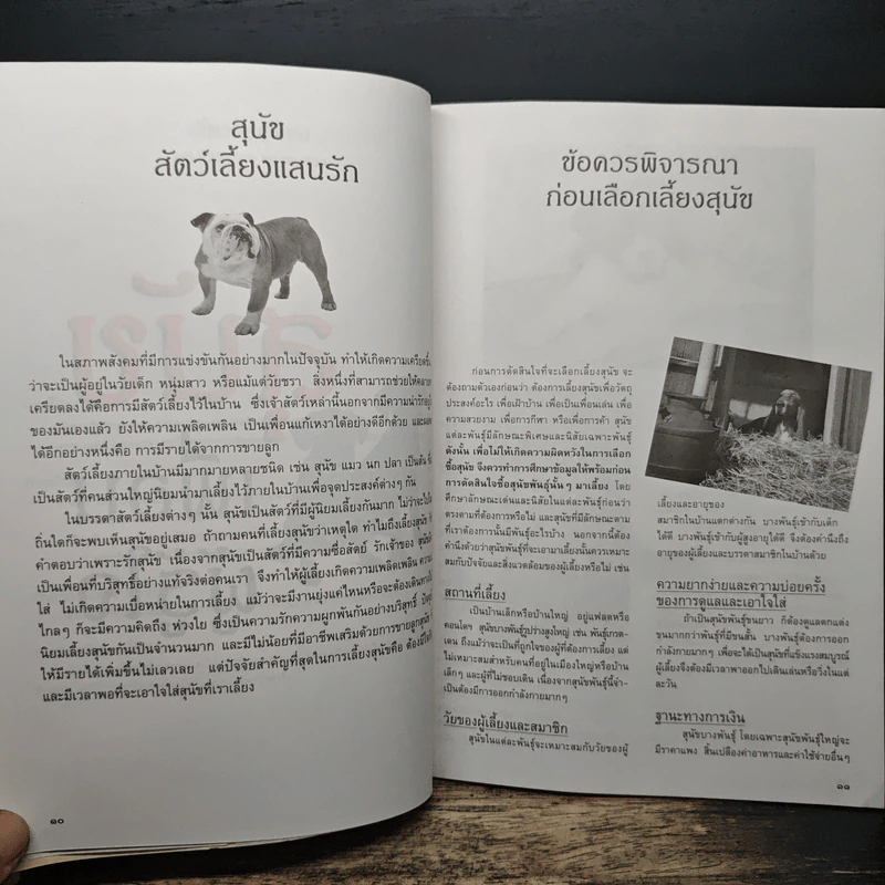 สุนัข เพื่อนผู้รู้ใจ - ผศ.สุวรรณา พรหมทอง รูปที่ 8