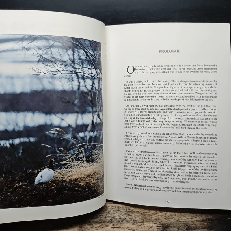 Nature Guide to Inari Lapland and its Bird Sites - Vesa Luhta รูปที่ 9