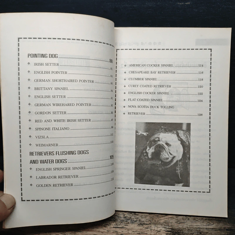 โลกสุนัข Dog's World Series 2 รวมแคทตาล็อคสุนัขหลากพันธุ์ในโลกมากที่สุด รูปที่ 7