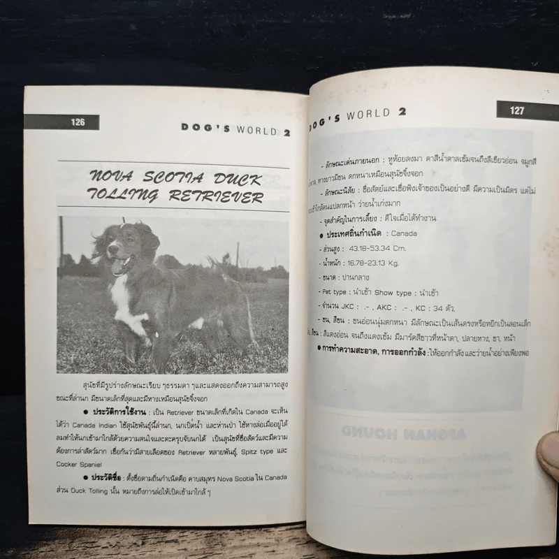 โลกสุนัข Dog's World Series 2 รวมแคทตาล็อคสุนัขหลากพันธุ์ในโลกมากที่สุด รูปที่ 9