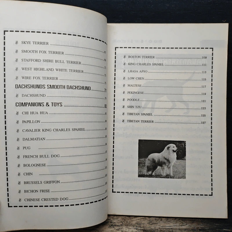 โลกสุนัข Dog's World Series 3 รวมแคทตาล็อคสุนัขหลากพันธุ์ในโลกมากที่สุด รูปที่ 7