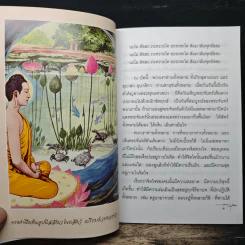 มองดูตนเอง - พระอาจารย์เปลี่ยน ปญญาปทีโป รูปที่ 7