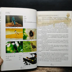 Birder's Journal รูปที่ 7