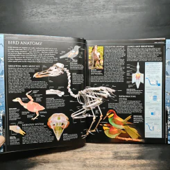 Illustrated Encyclopedia of Birds รูปที่ 9