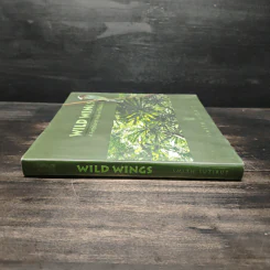 Wild Wings - Amith sutibut รูปที่ 3