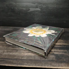 สวนพฤกษศาสตร์สมเด็จพระนางเจ้าสิริกิติ์ เล่ม 7 - องค์การสวนพฤกษศาสตร์ สำนักนายกรัฐมนตรี รูปที่ 5