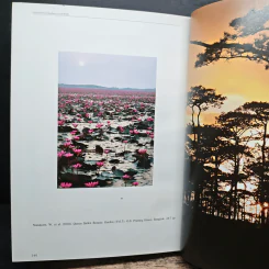 สวนพฤกษศาสตร์สมเด็จพระนางเจ้าสิริกิติ์ เล่ม 7 - องค์การสวนพฤกษศาสตร์ สำนักนายกรัฐมนตรี รูปที่ 10