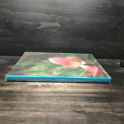 สวนพฤกษศาสตร์สมเด็จพระนางเจ้าสิริกิติ์ เล่ม 3 - องค์การสวนพฤกษศาสตร์ สำนักนายกรัฐมนตรี รูปที่ 3