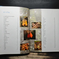 สวนพฤกษศาสตร์สมเด็จพระนางเจ้าสิริกิติ์ เล่ม 3 - องค์การสวนพฤกษศาสตร์ สำนักนายกรัฐมนตรี รูปที่ 6