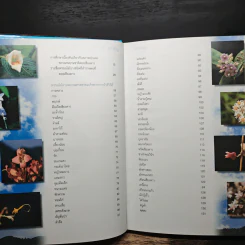 สวนพฤกษศาสตร์สมเด็จพระนางเจ้าสิริกิติ์ เล่ม 5 - องค์การสวนพฤกษศาสตร์ สำนักนายกรัฐมนตรี รูปที่ 7