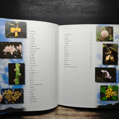 สวนพฤกษศาสตร์สมเด็จพระนางเจ้าสิริกิติ์ เล่ม 5 - องค์การสวนพฤกษศาสตร์ สำนักนายกรัฐมนตรี รูปที่ 8