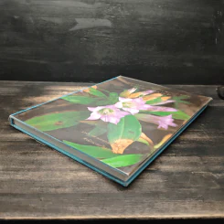 สวนพฤกษศาสตร์สมเด็จพระนางเจ้าสิริกิติ์ เล่ม 5 - องค์การสวนพฤกษศาสตร์ สำนักนายกรัฐมนตรี รูปที่ 5