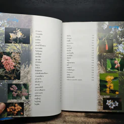 สวนพฤกษศาสตร์สมเด็จพระนางเจ้าสิริกิติ์ เล่ม 4 - องค์การสวนพฤกษศาสตร์ สำนักนายกรัฐมนตรี รูปที่ 7