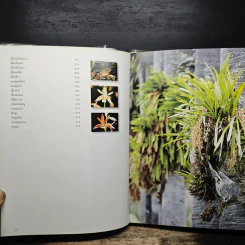 สวนพฤกษศาสตร์สมเด็จพระนางเจ้าสิริกิติ์ เล่ม 6 กล้วยไม้ไทย - องค์การสวนพฤกษศาสตร์ สำนักนายกรัฐมนตรี รูปที่ 8