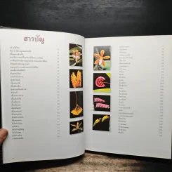 สวนพฤกษศาสตร์สมเด็จพระนางเจ้าสิริกิติ์ เล่ม 6 กล้วยไม้ไทย - องค์การสวนพฤกษศาสตร์ สำนักนายกรัฐมนตรี รูปที่ 6