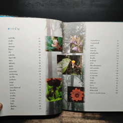 สวนพฤกษศาสตร์สมเด็จพระนางเจ้าสิริกิติ์ เล่ม 2 - องค์การสวนพฤกษศาสตร์ สำนักนายกรัฐมนตรี รูปที่ 8