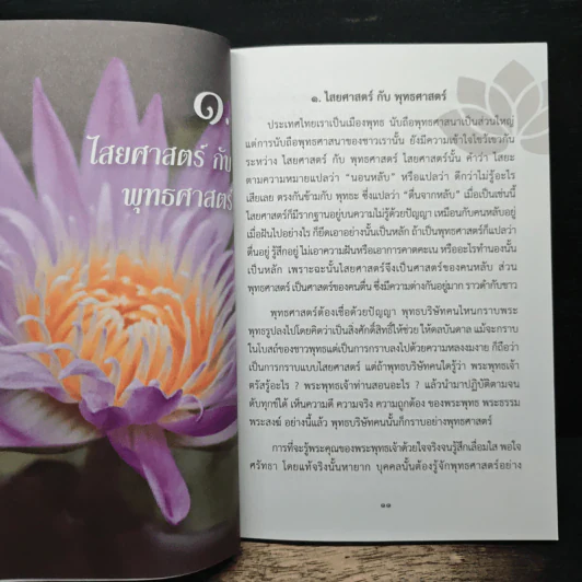 เพราะเหตุใด...เป็นชาวพุทธแต่ทำไม? ไม่เข้าใจพุทธศาสนา รูปที่ 7