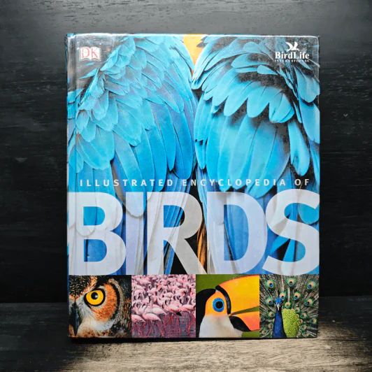 Illustrated Encyclopedia of Birds รูปที่ 1