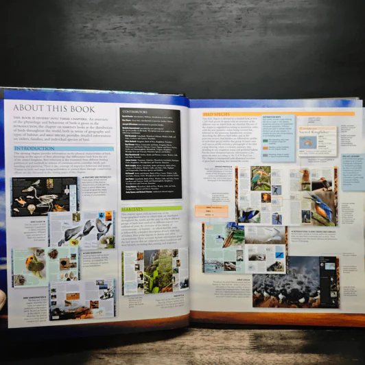 Illustrated Encyclopedia of Birds รูปที่ 6